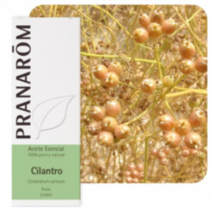 CILANTRO 10 ML ACEITES ESENCIALES NATURALES